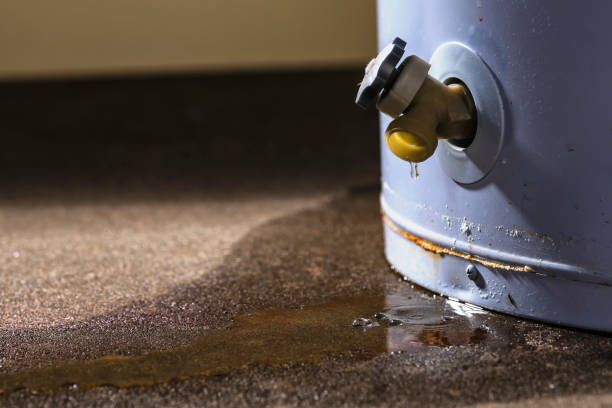 Best Professional water damage repair  in Hyattsville, MD