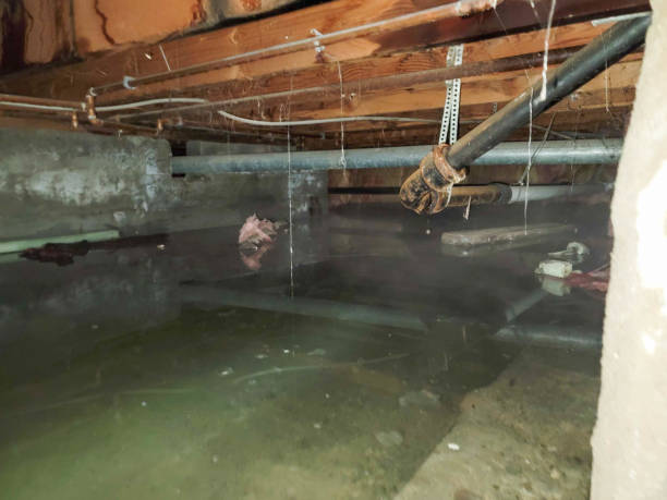 Hyattsville, MD Water damage restoration Pros