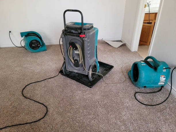 Best Water damage restoration company  in Hyattsville, MD