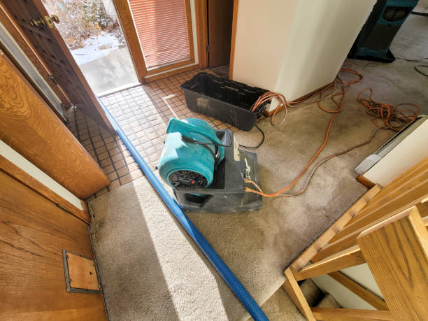 Best Residential water damage restoration  in Hyattsville, MD