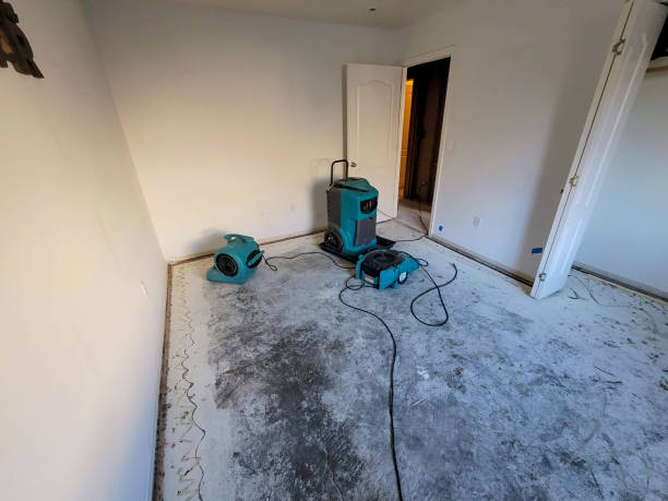 Best Flooded house restoration  in Hyattsville, MD