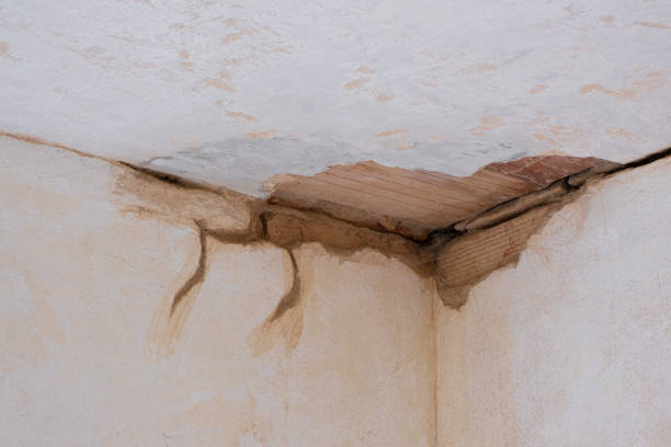 Best Water damage mitigation services  in Hyattsville, MD