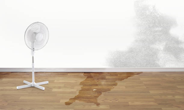 Best Commercial water damage restoration  in Hyattsville, MD