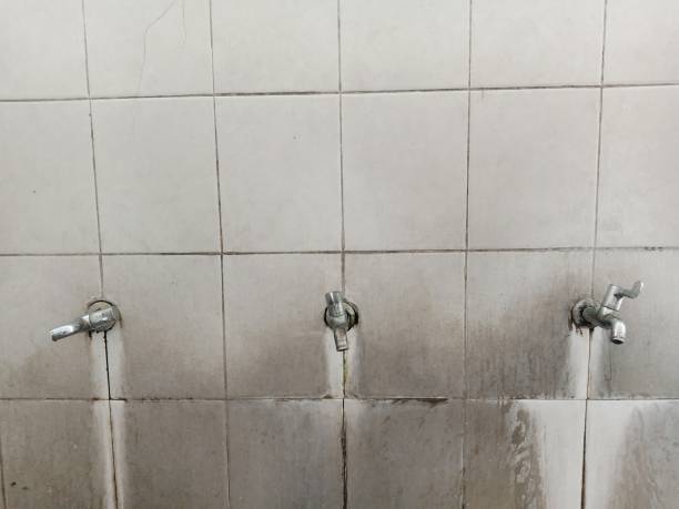 Best Water damage restoration near me  in Hyattsville, MD