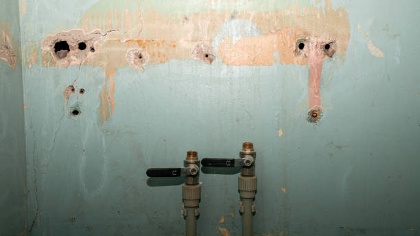 Best Flooded house restoration  in Hyattsville, MD
