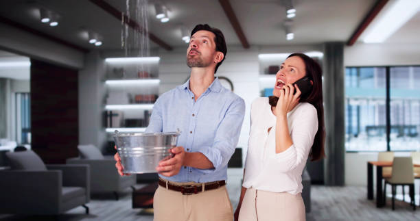 Best Water damage cleanup near me  in Hyattsville, MD