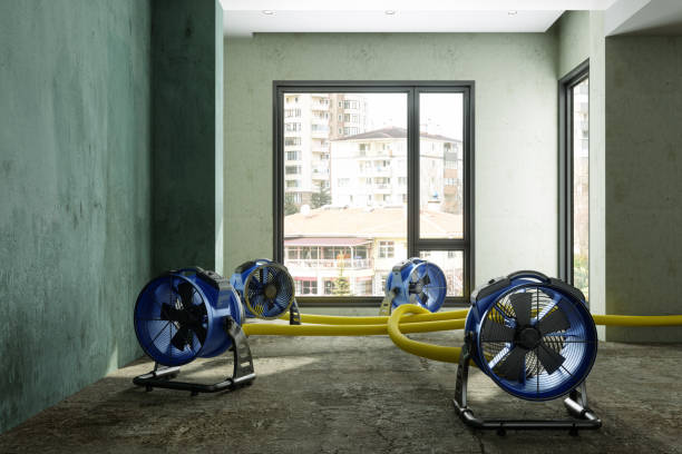 Best Flood restoration services  in Hyattsville, MD
