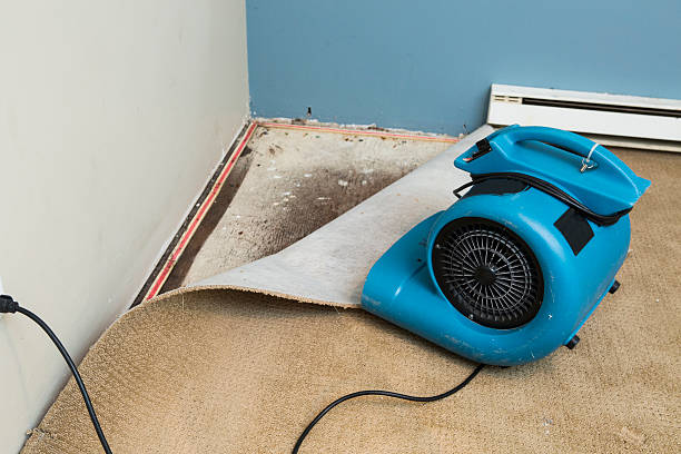 Hyattsville, MD Water damage restoration Company